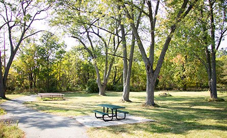 South Potter's Creek Conservation Area sitting areas and trail